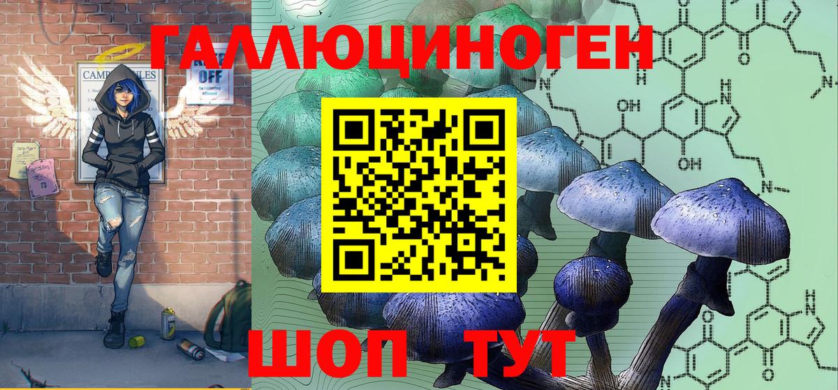 Галлюциногенные грибы Psilocybine cubensis Заводоуковск